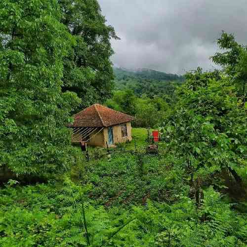 امیر سیاوشی چشاتو به رو من ببندو برو درد تو که نیست